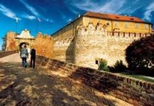 Weintage in der Siklós-Villányer Weingegend