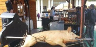 Mangalitza Fest in Debrecen