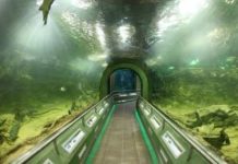 Poroszló – Attraktion: 1-Millionen-Liter großes Süßwasser-Aquarium-System