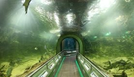 Poroszló – Attraktion: 1-Millionen-Liter großes Süßwasser-Aquarium-System