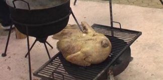 Das Pulyka-Fest in Debrecen