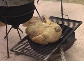 Das Pulyka-Fest in Debrecen