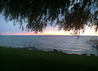 Balaton: Goldener Herbst am Plattensee in Ungarn