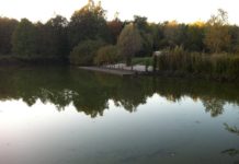 Investition in Hochwasserschutz an unterer Theiß