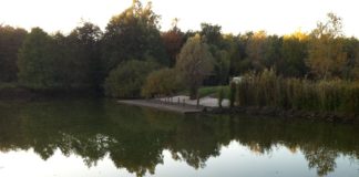 Investition in Hochwasserschutz an unterer Theiß