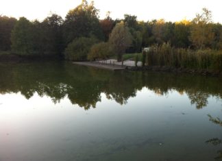 Investition in Hochwasserschutz an unterer Theiß