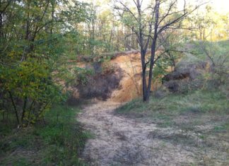 Debrecen hat viel Natur zu bieten