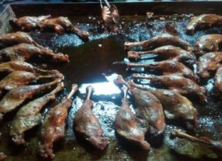 Ungarische Spezialität: Gänsebraten – Jetzt gibt es auch spezielle Martinsgänse