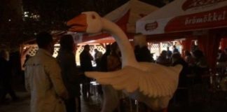 Was hinter dem St. Martins Tag steckt