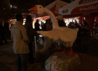 Was hinter dem St. Martins Tag steckt