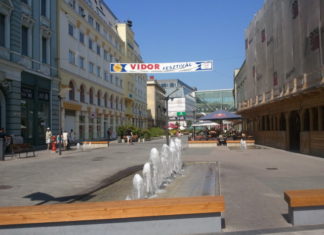 Fun beim Vidorfest in Nyiregyháza