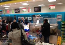 Fischverkauf vor Weihnachten in Ungarn sehr hoch