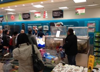 Fischverkauf vor Weihnachten in Ungarn sehr hoch