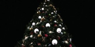 Ungarische Weihnachtsmärkte: Der Weihnachtsmarkt in Debrecen