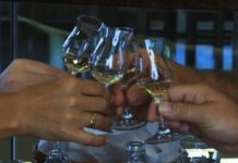 Ein kleiner Streifzug durch Ungarn (VIDEO)