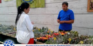 Kakteen in der Puszta: Debrecen lädt zur Kakteenausstellung
