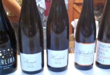 Der Weinkarneval in Debrecen – VIDEO