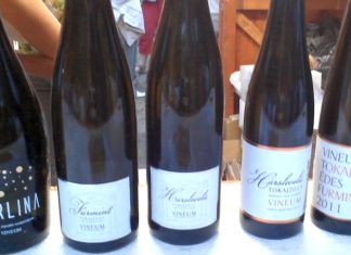 Der Weinkarneval in Debrecen – VIDEO