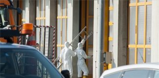 Flüchtlingsdrama auf der A4 – 50 Tote auf ungarischem LKW!