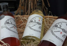 Ungarische Weine werden auch in den USA gefördert