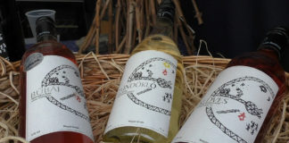 Bioweine – trendy und lecker in Ungarn!