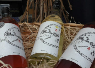 Bioweine – trendy und lecker in Ungarn!