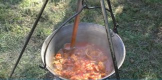 Kulinarische Reise nach Ungarn: Kaninchengulasch aus dem Kessel jetzt probieren!