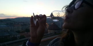 31. März – 23. April 2017 in Budapest – Budapester Frühlingsfestival