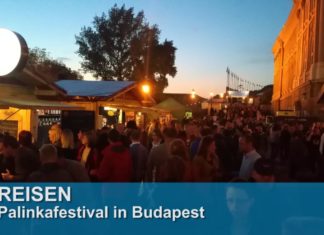 Hochprozentiges in Ungarn: Palinkafest in Budapest!