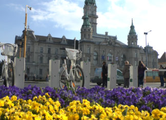 Szent-László-Tage in Györ ganz groß gefeiert