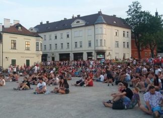 Ungarn fiebert beim Public Viewing im Achtelfinale der EM
