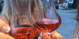 Pálinkafestival in Györ – So stark sind die ungarischen Schnäpse wirklich!