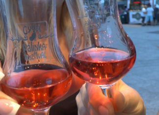 Pálinkafestival in Györ – So stark sind die ungarischen Schnäpse wirklich!