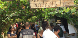 DAS sieht man auf dem Liliomkert Markt in Káptalantóti