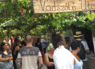 DAS sieht man auf dem Liliomkert Markt in Káptalantóti