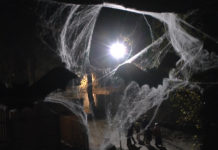 Györer Zoo hatte an Halloween zum Gruseln eingeladen!