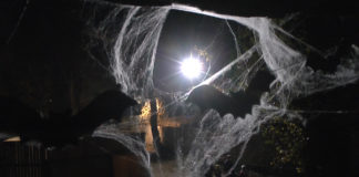 Györer Zoo hatte an Halloween zum Gruseln eingeladen!