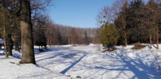 Ein Spaziergang in der Zala-Region / Wälder und Seen im Winter-Style!