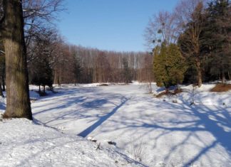 Ein Spaziergang in der Zala-Region / Wälder und Seen im Winter-Style!