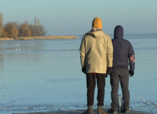 Balatonsee zugefroren – Wetter eisig aber Natur extrem schön!