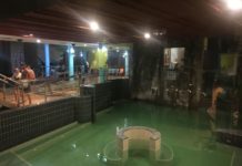 Wie ist das eigentlich mit dem Ungarischen Heilwasser?