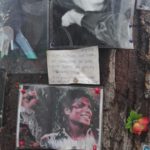 Michael Jackson Tree2