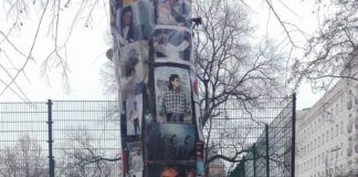 Michael Jackson Memorial Tree in Budapest