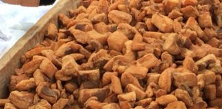 Was ist eigentlich Tepertö ? Der knusprige Snack für zwischendurch