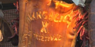 Mangalica-Festival – In Budapest sind die Wollschweine unterwegs