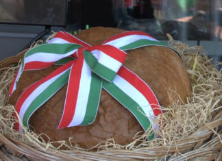 Diese kulinarischen Dinge sollte man bei einer Ungarn Reise auf jeden Fall probieren!