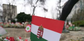 Im Januar wird ein neuer Bürgermeister in Győr gewählt