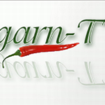 ungarn-tv-logo970
