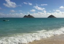 Wohin reisen eigentlich die Ungarn am liebsten in diesem Jahr?