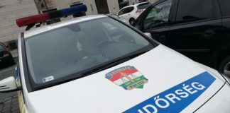 Freund und Helfer: Polizei rettet Frau in Not